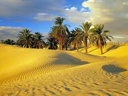 Тунис Пустыня Сахара